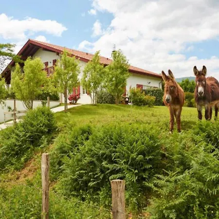 House Baigura Au Baskoparadis
